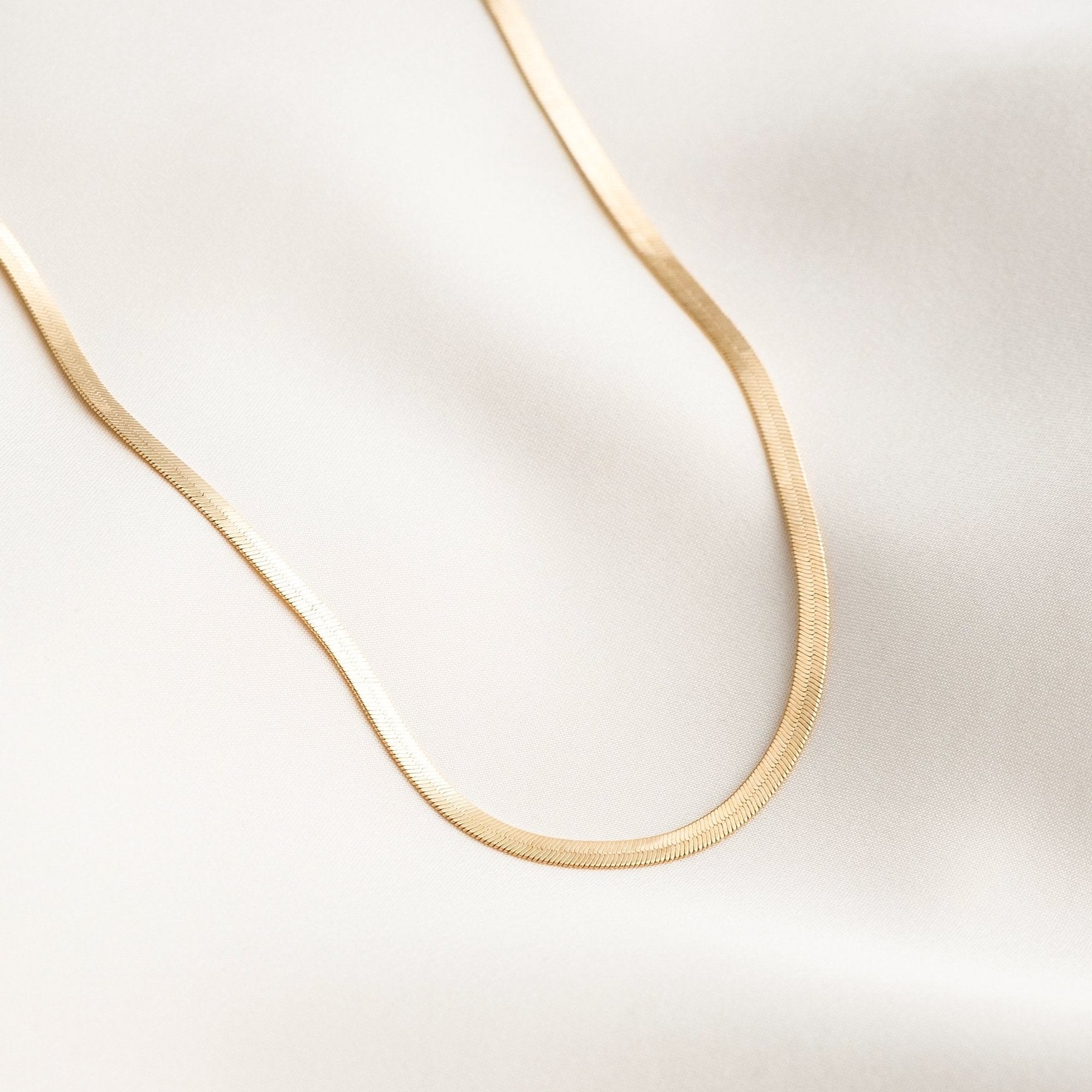 A single green leaf against a white background.
