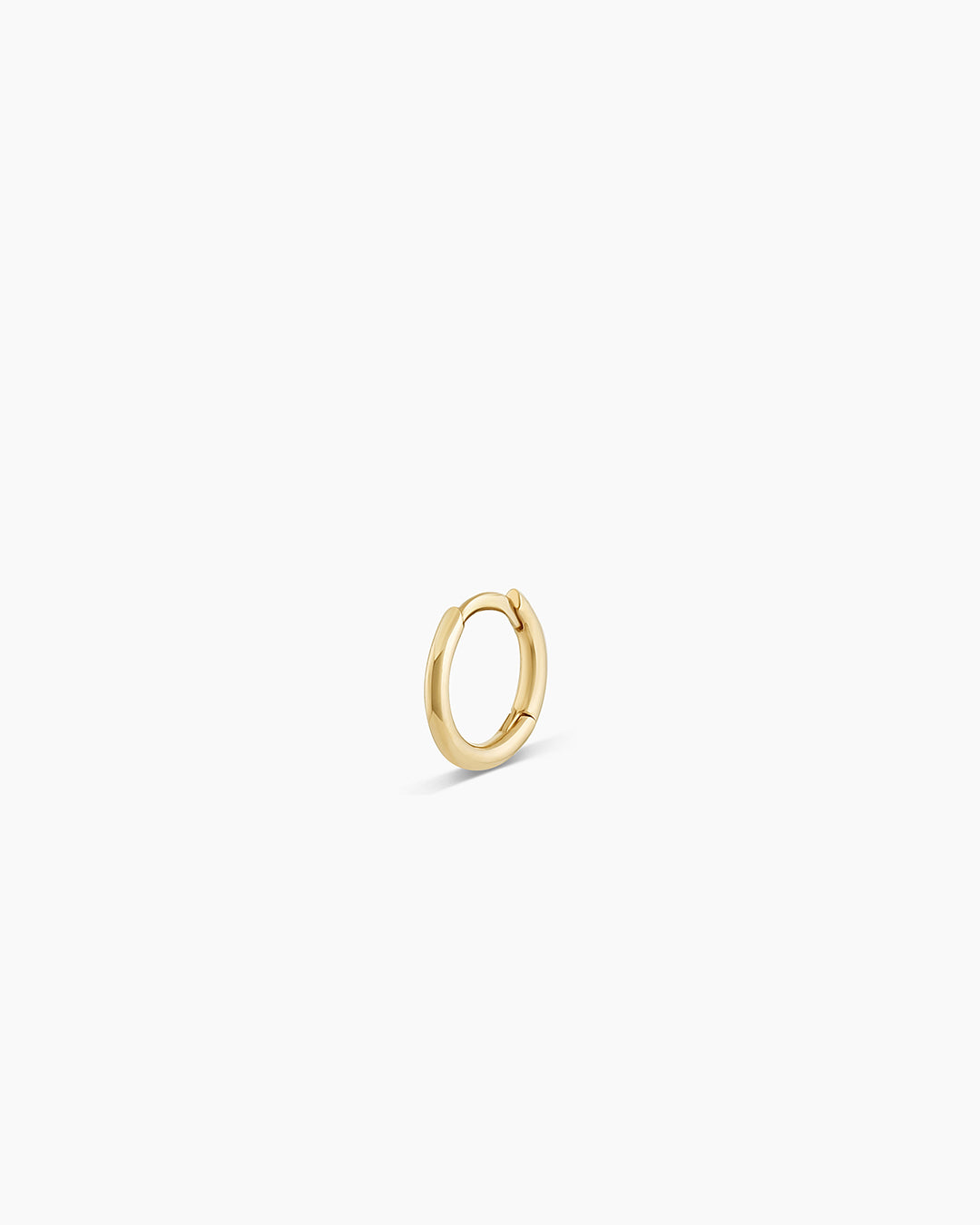 A single green leaf against a white background.