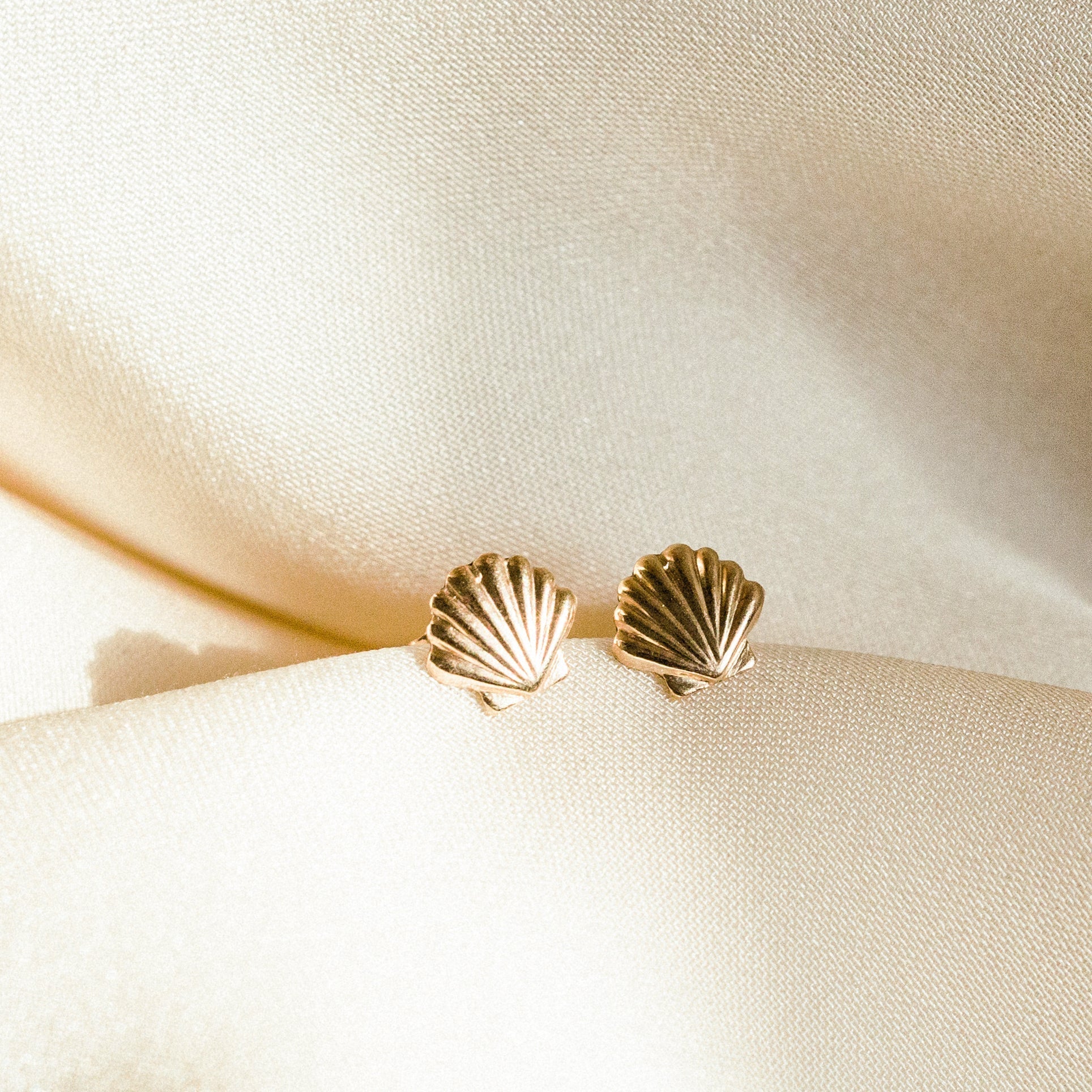 A single green leaf against a white background.