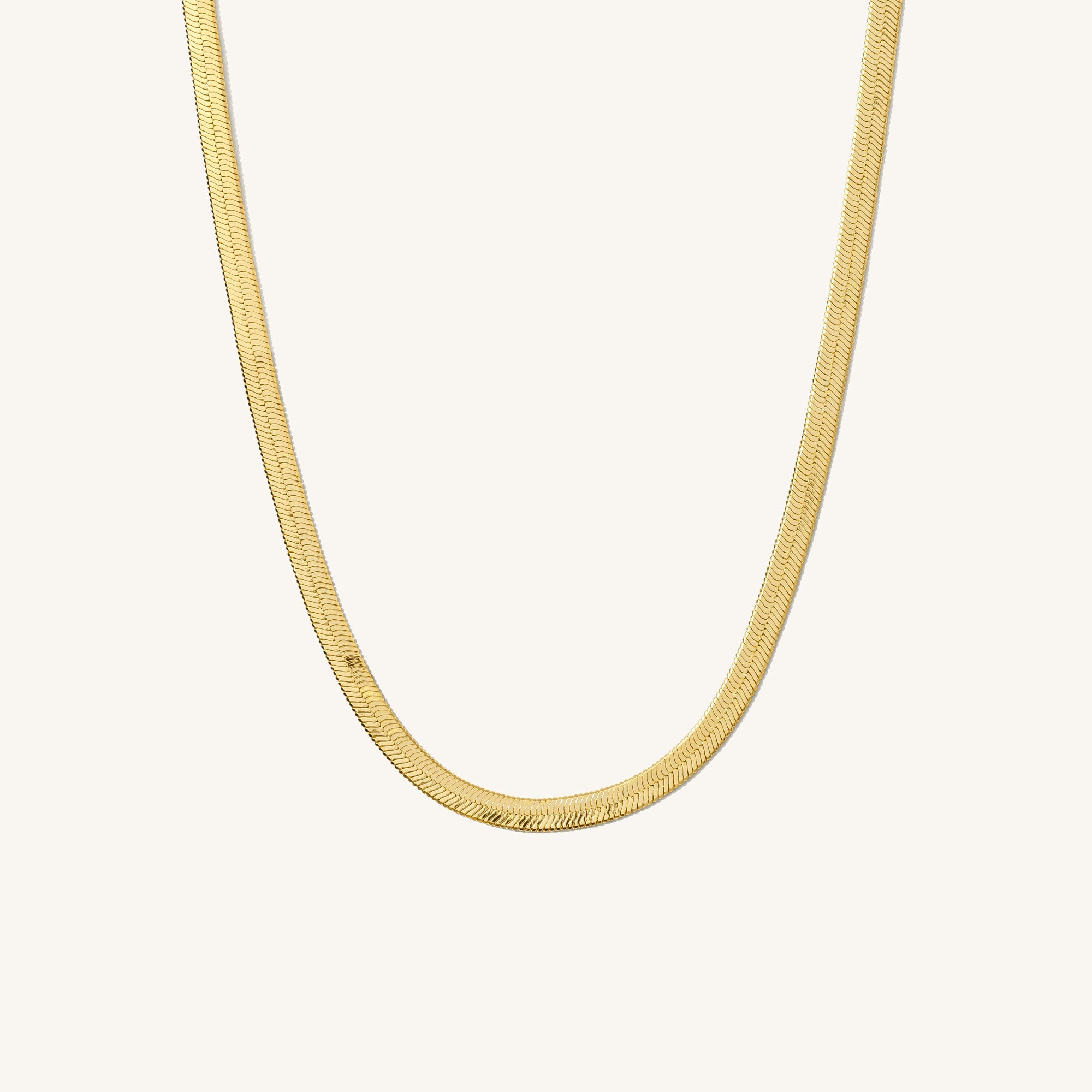 A single green leaf against a white background.